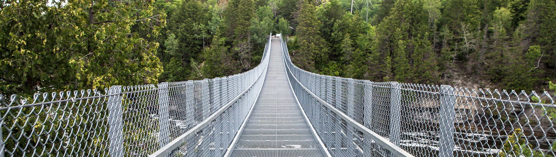 Looking over the Ranney Gorge suspension bridge towards Ferris Provincial Park