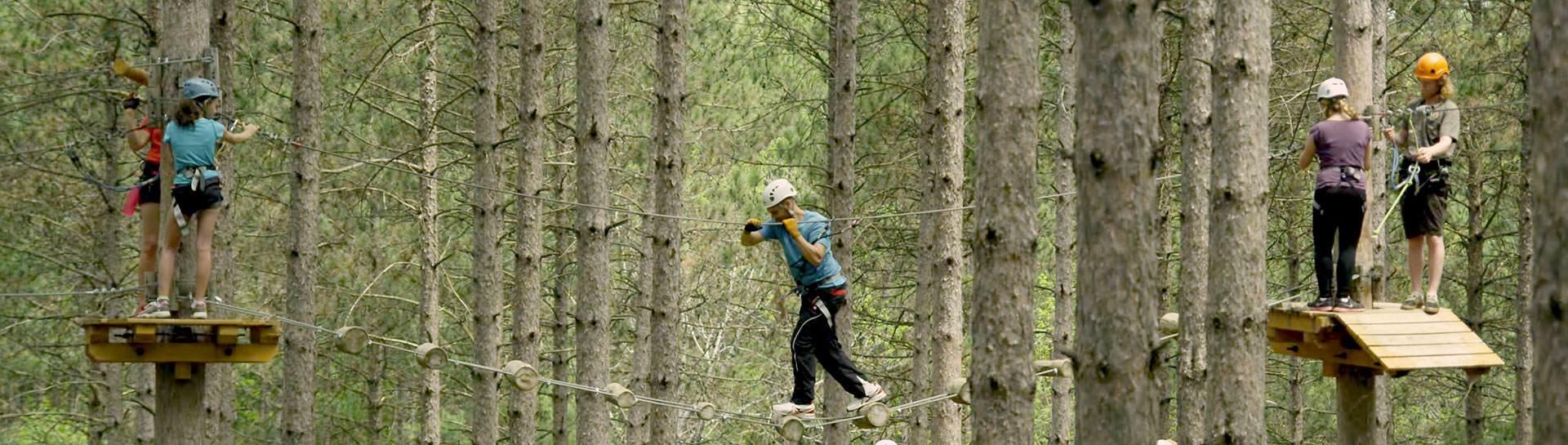 Group of people climbing through trees in a ziplining tree park