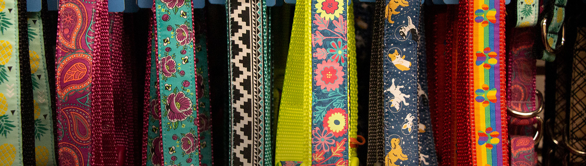 Colourful collars hanging on display in retail store